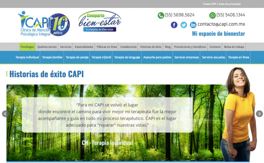CAPI. Diseño de sitio web y posicionamiento SEO. 
