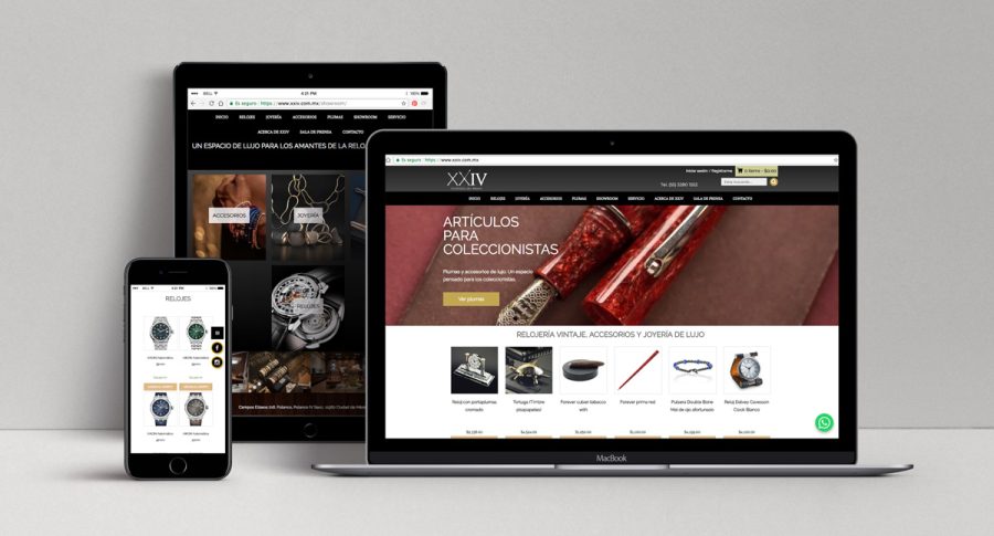 XXIV. Desarrollo de sitio web y tienda en línea 
